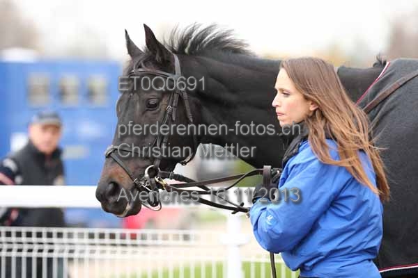 ET0Q0691 prot